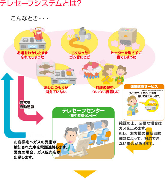 テレセーフシステムとは
